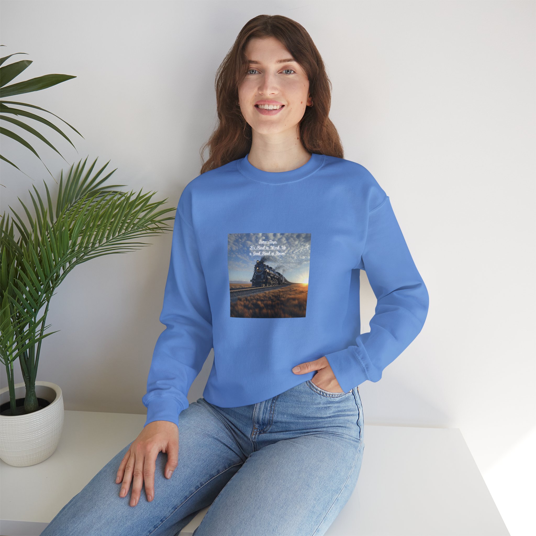 Person wearing blue sweatshirt with steam train image and text over scenic landscape